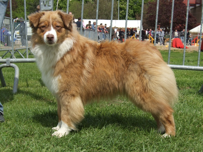 bailiwick Burnin' the candle