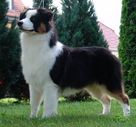 bayshore milwin Chouquette